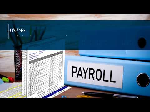 Phần mềm nhân sự chấm công tính lương Paradise HRM