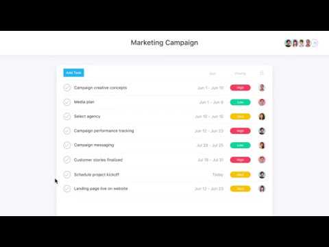 What is Asana?
