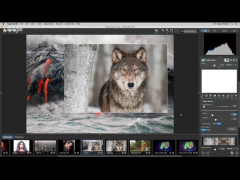 Introduction to Topaz Studio