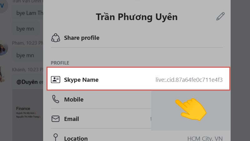Skype ID được hiển thị trong phần Skype Name