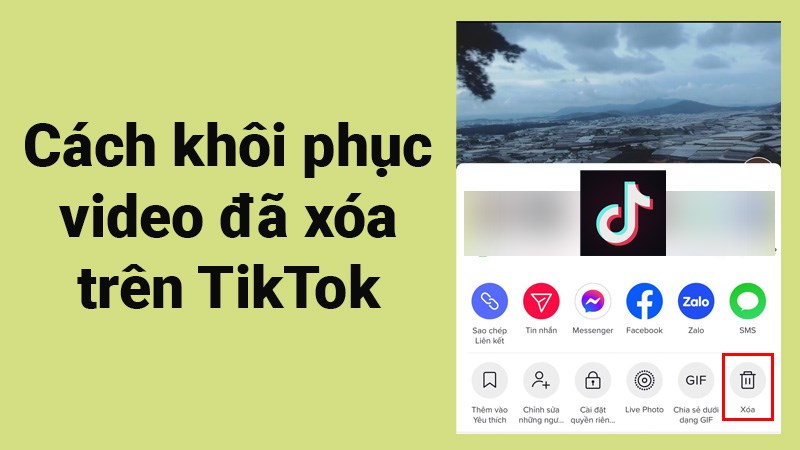 3 cách khôi phục, lấy lại video đã xóa trên TikTok cực đơn giản