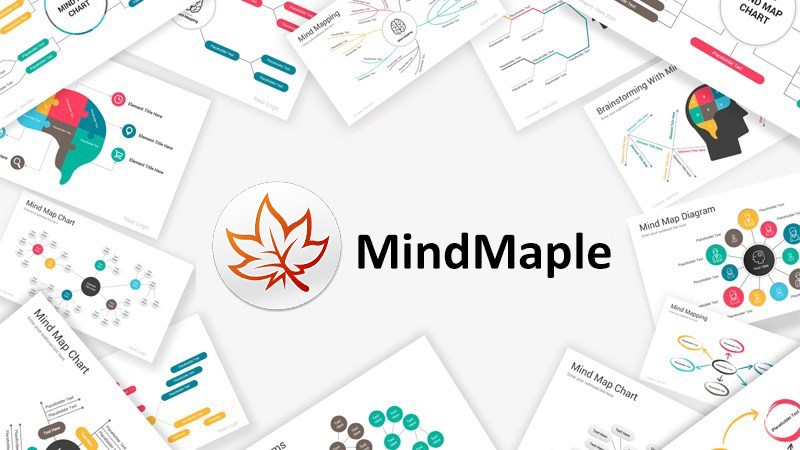 MindMaple là gì?